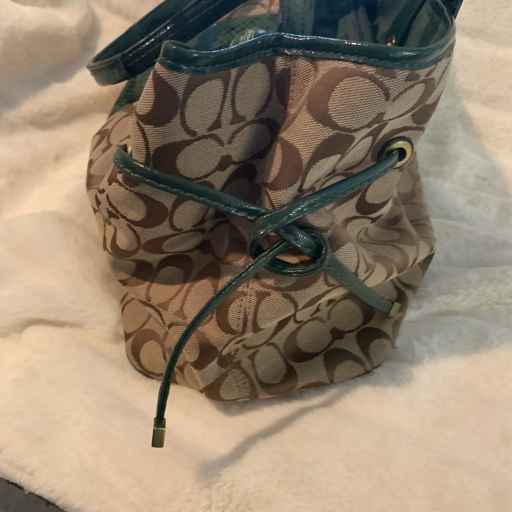 Coach Signature Python Stripe Bag - image 7